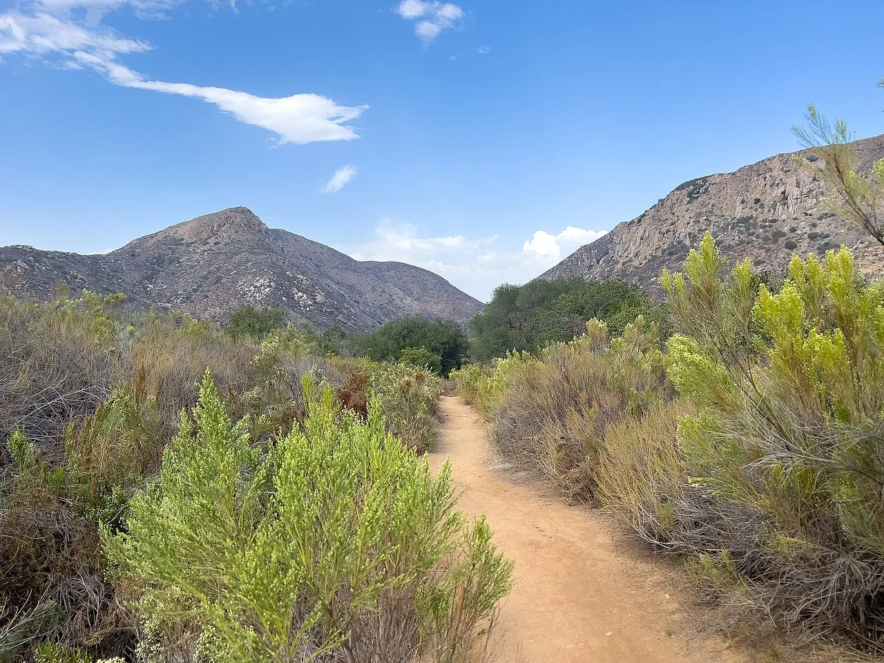 Nearby Mission Trails Regional Park
